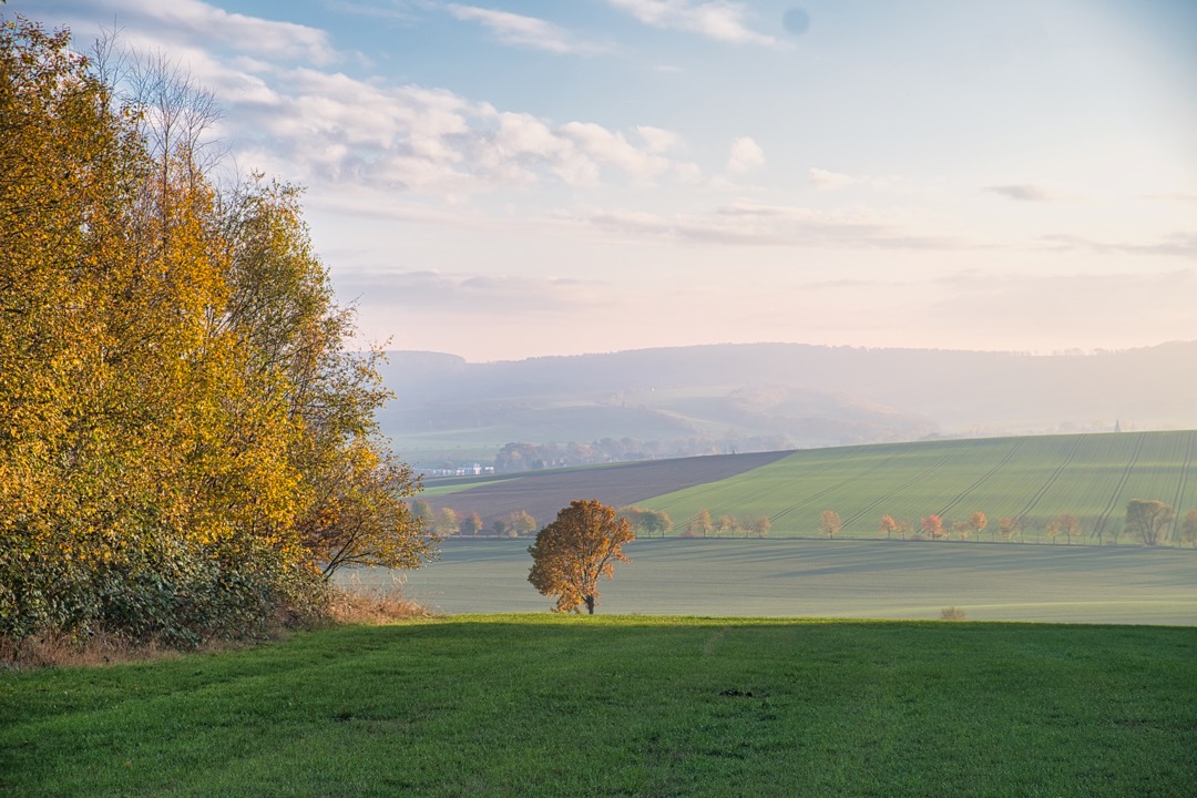 Grenzstreifen im November