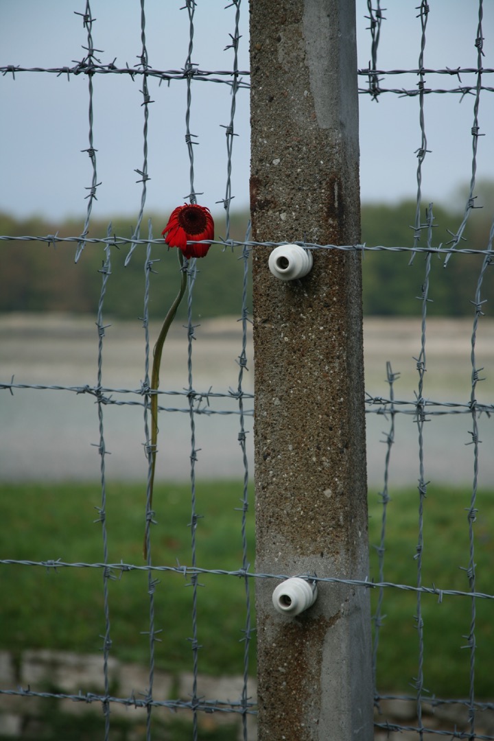 Ettersberg - KZ Buchenwald