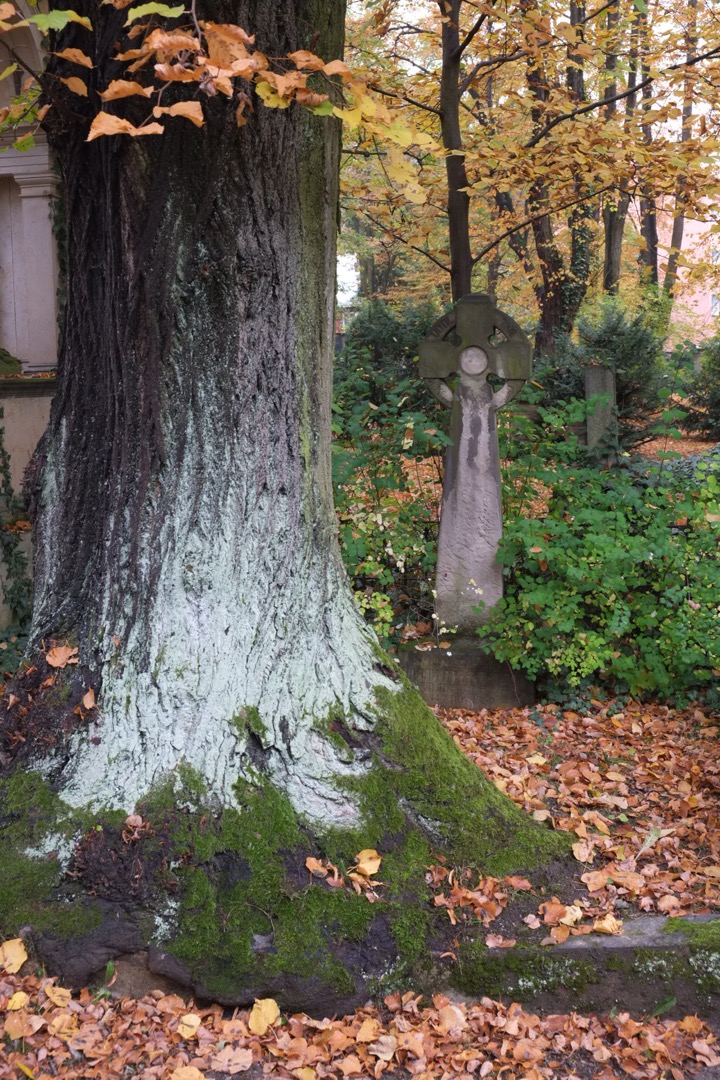 Historischer Friedhof