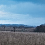 blick vom ettersberg.jpeg