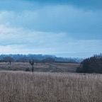 blick vom ettersberg.jpeg